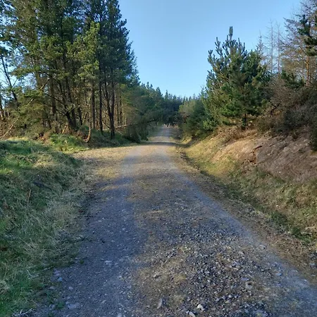 Glenbarrow * Rosenallis